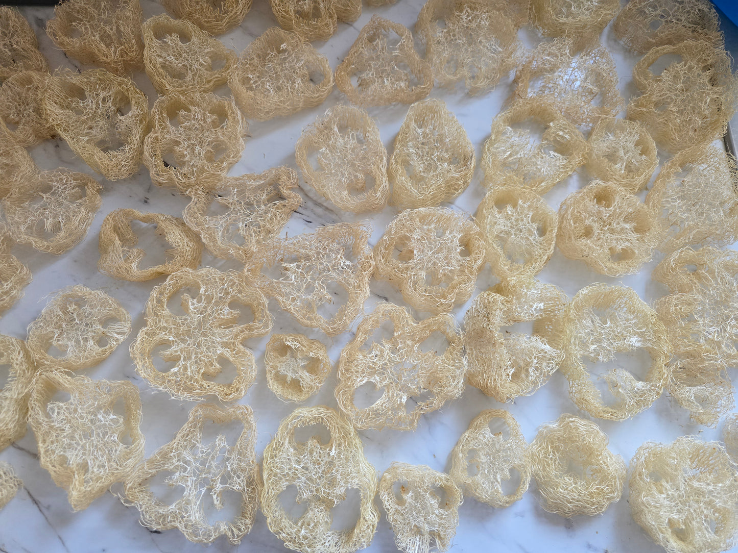 I Loofah Mint
